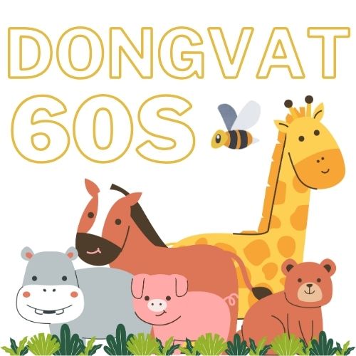 dongvat60s.com